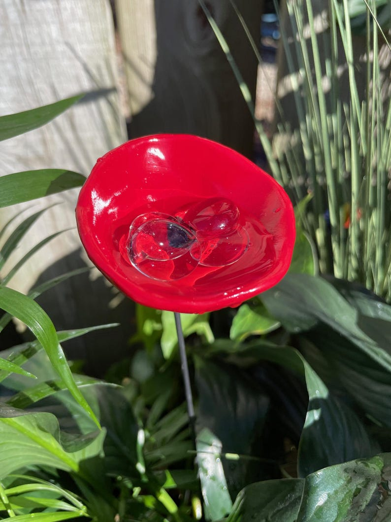 🔥Handmade Bee Watering Station, Butterfly Puddler, Hummingbird Drinking Cups - Made in America