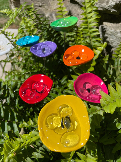🔥Handmade Bee Watering Station, Butterfly Puddler, Hummingbird Drinking Cups - Made in America